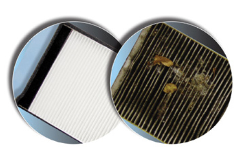 Cabin Air Filter Replacement